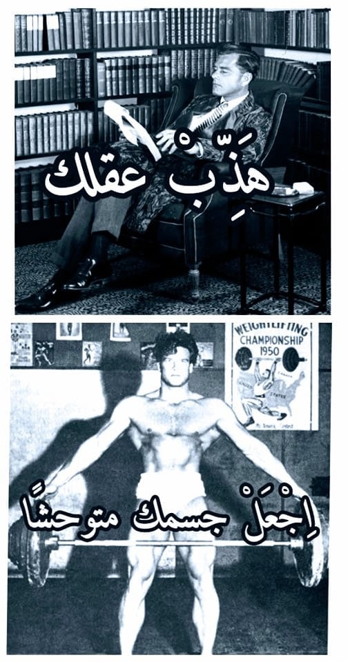 صورة المنشور